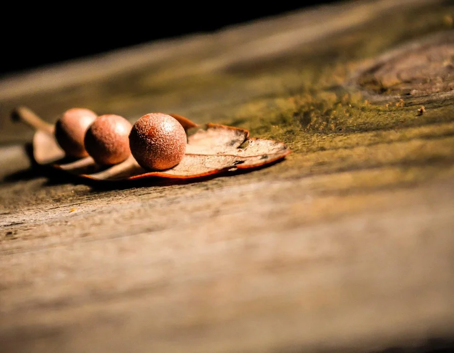 Python a través de ejemplos: Ciclos o bucles while