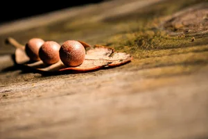 Python a través de ejemplos: Ciclos o bucles while