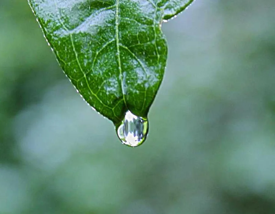 Iniciando con PyQt para desarrollo GUI