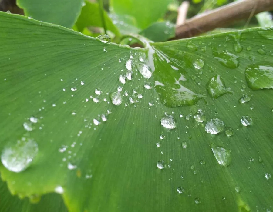 Iniciando con PySide6 para desarrollo GUI