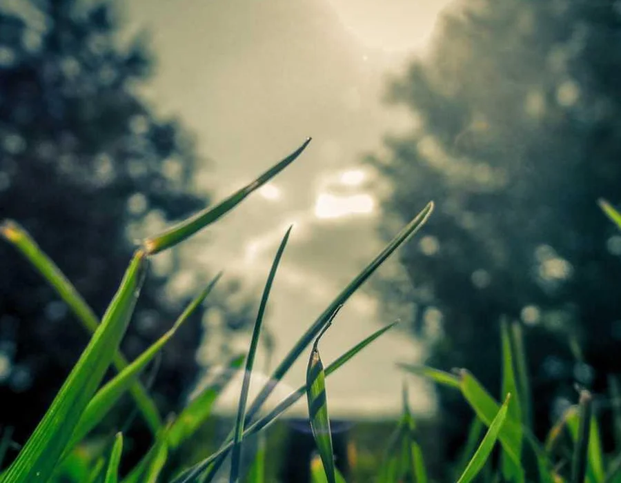 Cómo instalar Python en tu sistema operativo Debian o Ubuntu Linux?