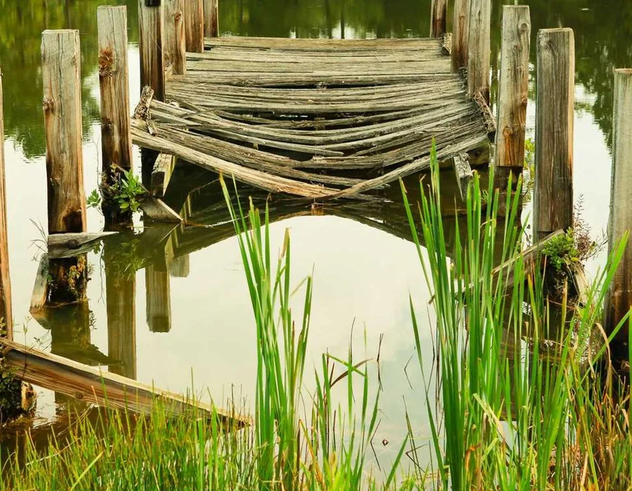 Cómo instalar Python en tu sistema operativo Windows?