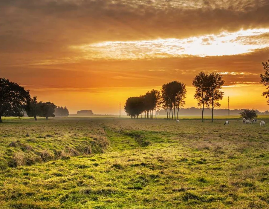 Cómo obtener ayuda en Python?