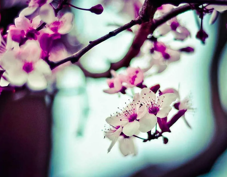 Python a través de ejemplos: Operadores