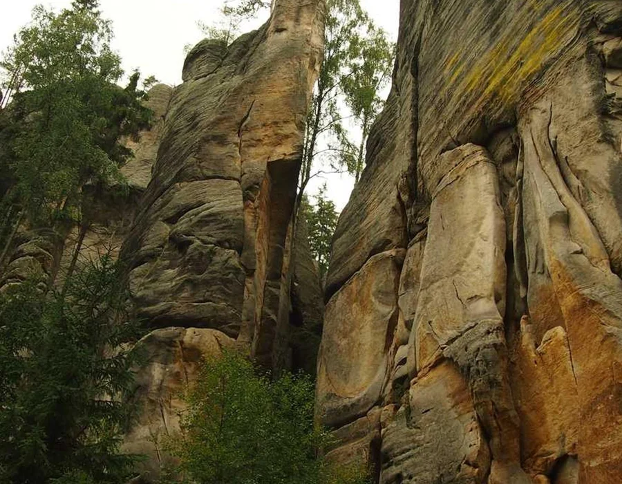 Patrones de diseño en Python: Modelo-Vista-Controlador (MVC)