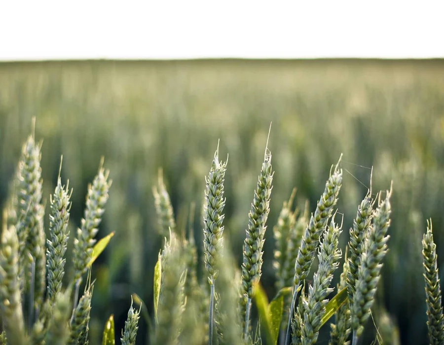 Palabras clave en Python: async