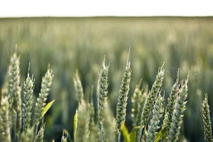 Palabras clave en Python: async