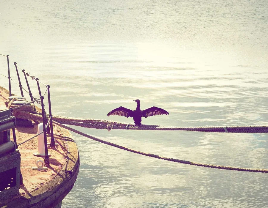 Palabras clave en Python: case