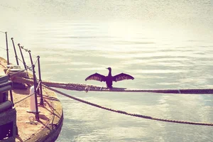 Palabras clave en Python: case