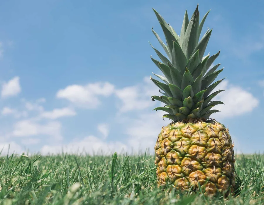 Estructuras de datos en Python: Listas doblemente enlazadas