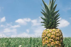 Estructuras de datos en Python: Listas doblemente enlazadas