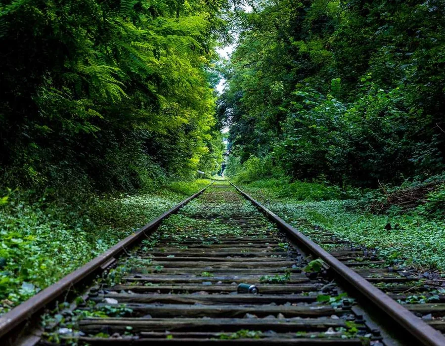 Palabras clave en Python: for