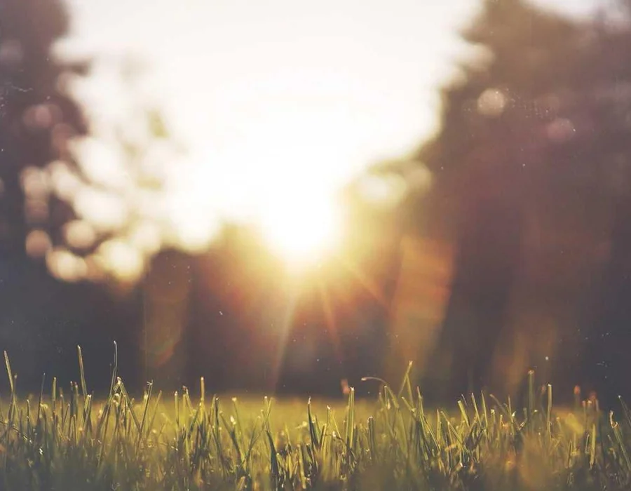 Palabras clave en Python: if