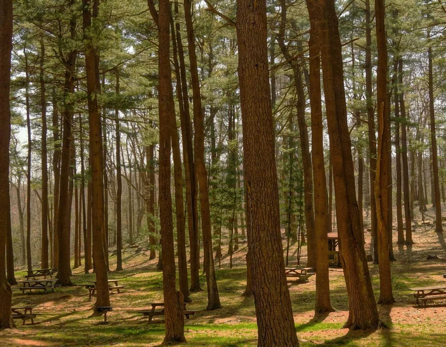 Palabras clave en Python: match