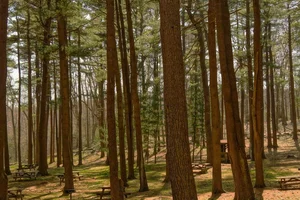 Palabras clave en Python: match