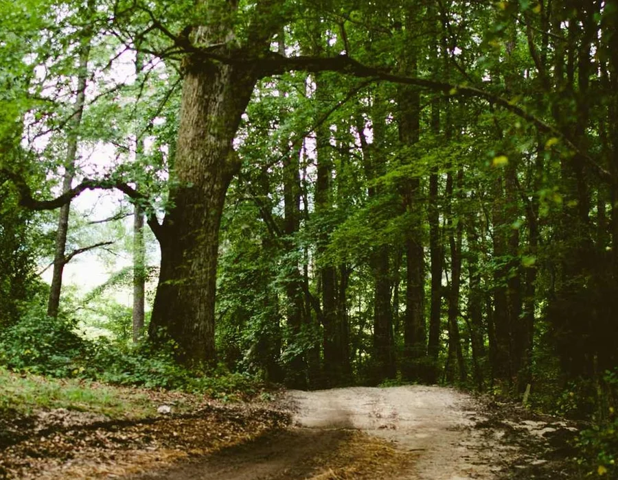 Palabras clave en Python: None