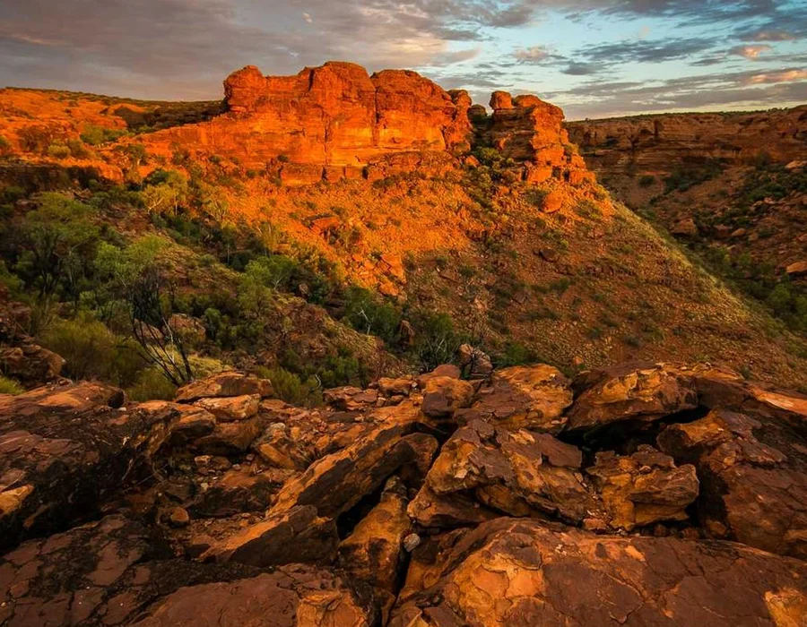 Palabras clave en Python: or