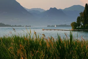 Estructuras de datos en Python: Colas (queues)