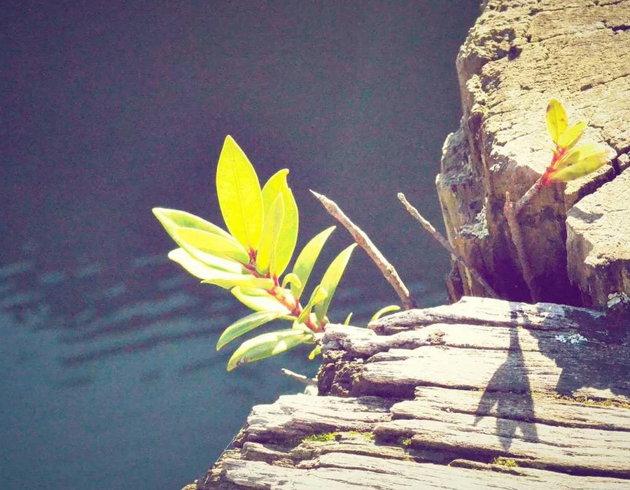 Palabras clave en Python: return