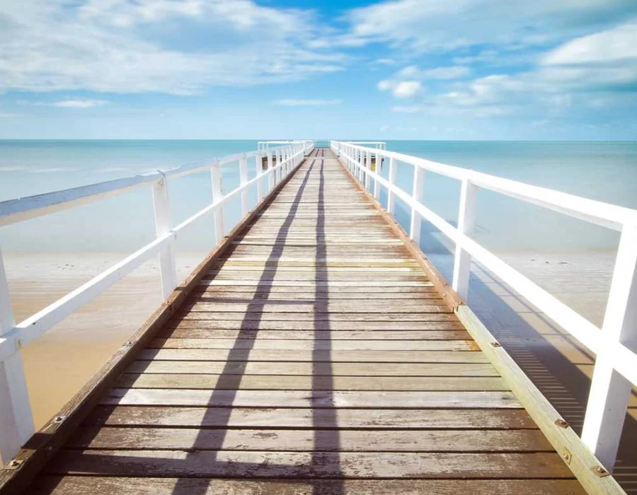 Palabras clave en Python: while