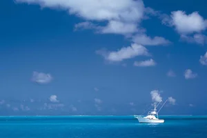 Palabras clave en Python: with